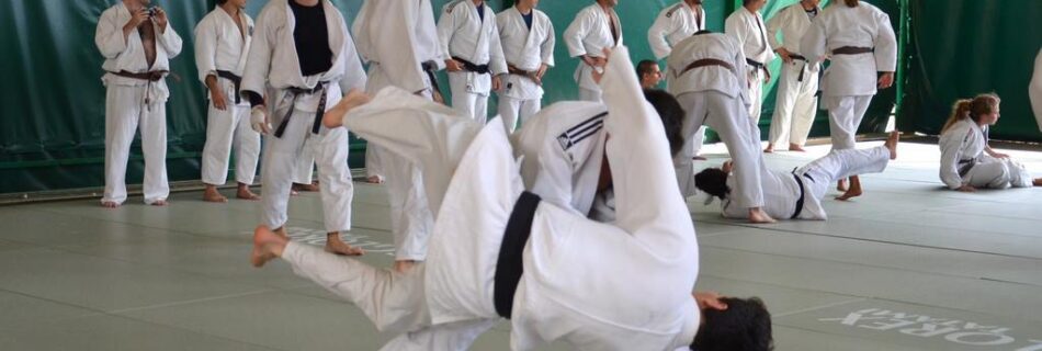 Judo Summer Camp 2025 - Beppe Vismara Judo