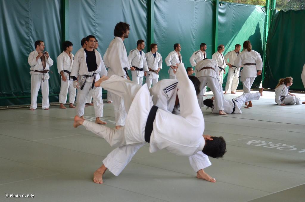 Judo Summer Camp 2025 - Beppe Vismara Judo